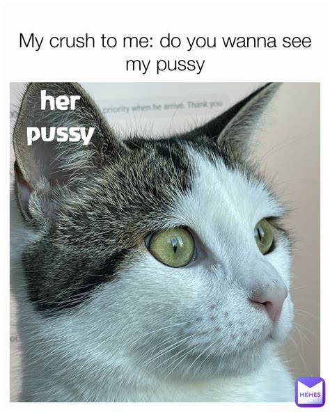 Pussy Meme