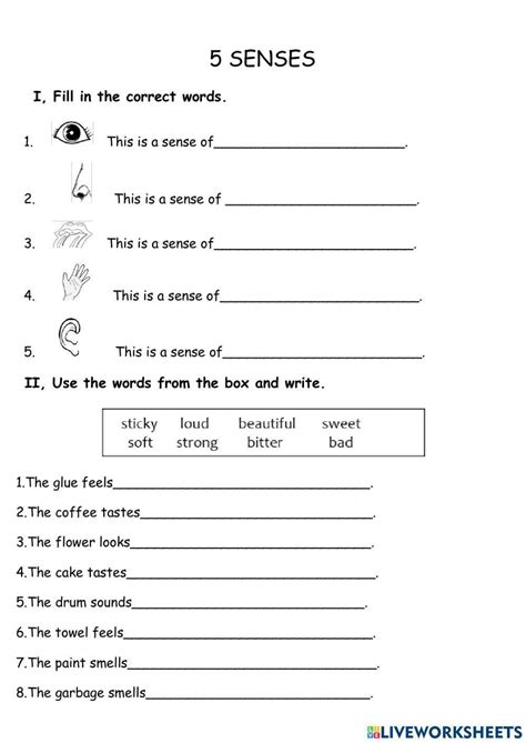 Science Worksheet Five Senses Color And Write Planerium