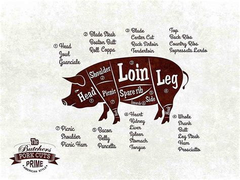 Pork Meat Pig Cuts Butchers Chart Poster 32 Inch X 24 Inch 17 Inch X