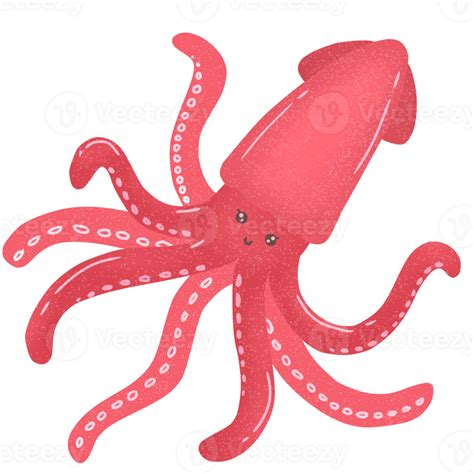 Cute Sea Squid 28078926 Png