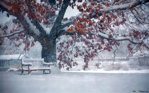 Park Bench in Winter 2K wallpaper download