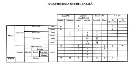 Catal F Cil Sons Conson Ntics Del Catal