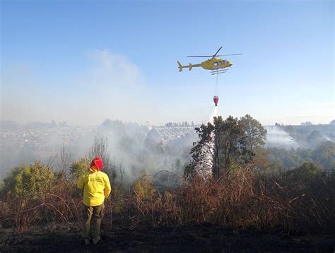 Incendios Forestales En La Araucan A Han Destruido M S De Mil