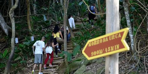 Trilha Do Morro Da Urca Como Subir Detalhes E Dicas