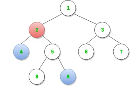 Common Ancestor Binary Tree