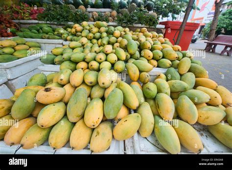 Cambodian Mangoes Hi Res Stock Photography And Images Alamy
