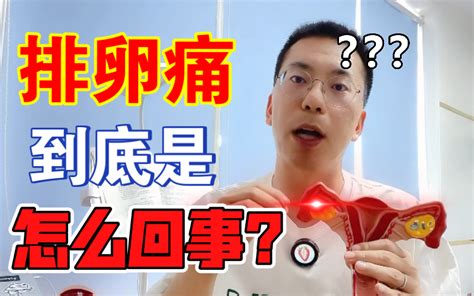 排卵痛真的存在吗？到底是怎么回事？！ 六层楼先生 六层楼先生 哔哩哔哩视频