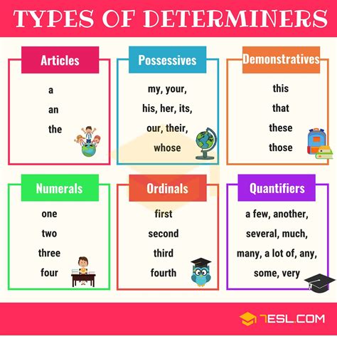 Determiner definition types list and useful examples of determiners ...