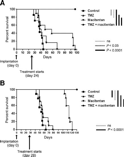 Combination Therapy With Macitentan And Temozolomide Tmz Signi Fi