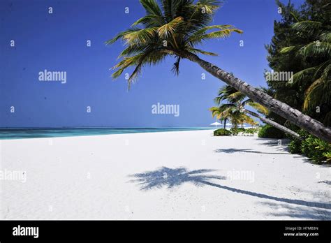 Kanuhura, Kanuhura, China. 7th Nov, 2016. Kanuhura, Maldives-November 5 ...