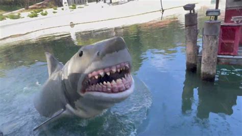 Jaws At Universal Studios Hollywood Youtube