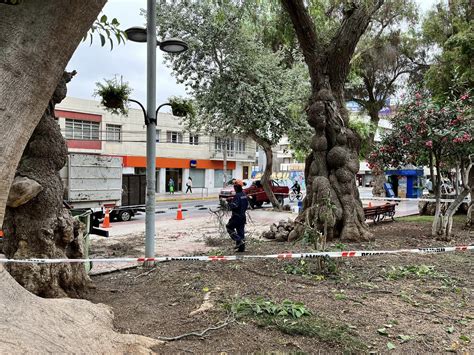 Municipio de Copiapó y Sigloverde realizaron completo estudio de los