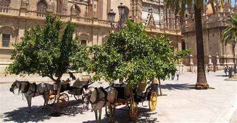 Sevilla Tour Guiado Por Catedral Y La Giralda Con Entrada Getyourguide