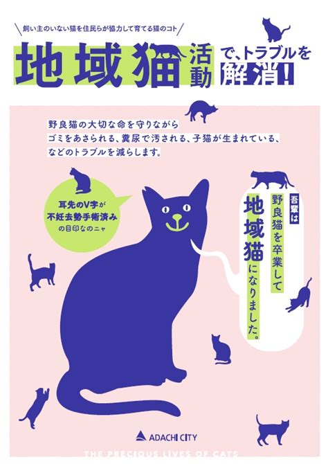 足立区地域猫活動支援モデル事業｜足立区