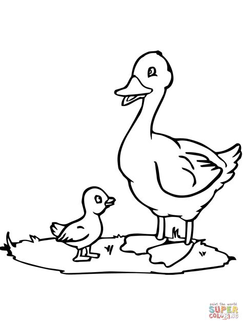 Mama Duck And Duckling Coloring Page Free Printable Coloring Pages