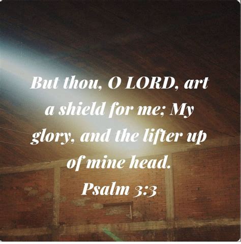 Psalm But Thou O Lord Art A Shield For Me My Glory And The Lifter