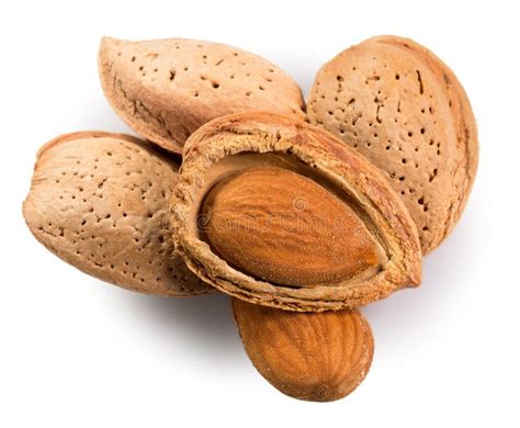 Amandes D Isolement Sur Un Fond Blanc Photo Stock Image Du Blanc