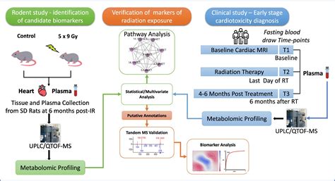 Plasma Metabolite Biomarkers Predictive Of Radiation Induced