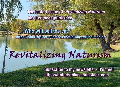 December Naturistplace Blog