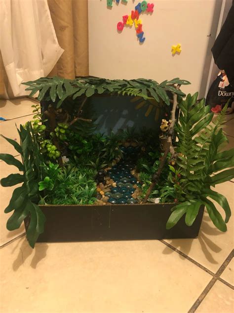 Monkey Habitat Diorama Monkey Habitat Habitats Projects Diorama Kids