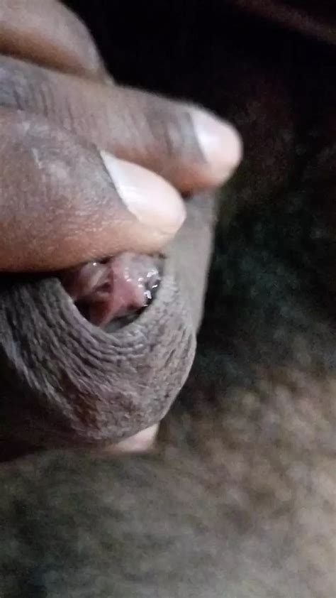 Gay Hairy Porn Videos Of Messy Men Fucking Each Other XHamster