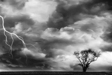 "Black and White Storm with Lightning and Tree" by Rebecca Haegele ...