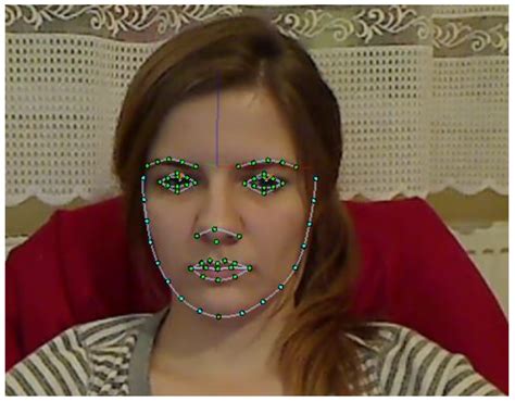 Information Free Full Text Robust Eye Blink Detection Based On Eye