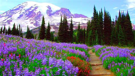 Mountain Spring Wallpapers Wallpaper Cave