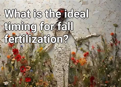 What Is The Ideal Timing For Fall Fertilization Gardening Gov Capital