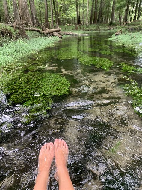 Nw florida daily news reports on the upcoming storm season 36