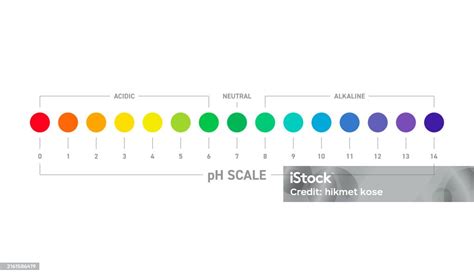 Acid And Base Chart Ph Scale Acid And Base Concept On White Background ...