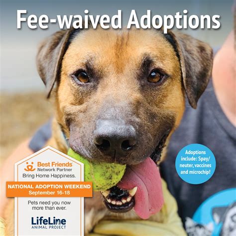 Best Friends National Adoption Weekend - LifeLine Animal Project