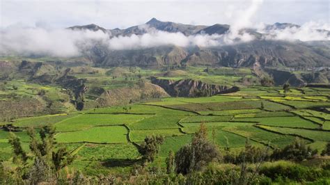 Amber and Tim's World Travel Blog: Colca Canyon Trekking