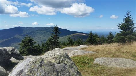 Grassy Ridge Bald at Roan Mountain NC | Natural landmarks, Outdoorsy, Nature