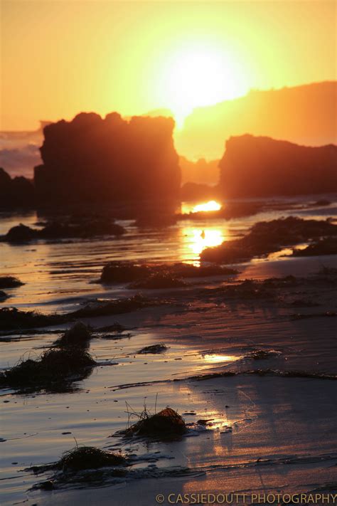 Crystal Cove Beach Walk To Remember Gorgeous Sunset Cove Magnificent