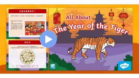 All About Tigers Chinese New Year Powerpoint Ppt