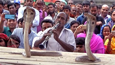 Cobra Snake Dance With Flute Music And Song By The Snake Charmer Youtube