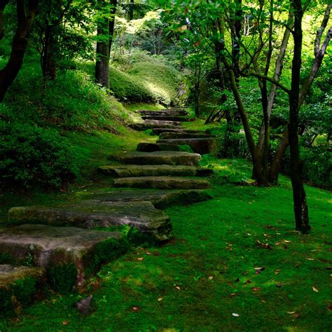 Garden Path Wallpapers - Wallpaper Cave