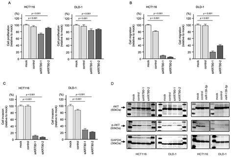 Ijms Free Full Text Molecular Pathogenesis Of Colorectal Cancer