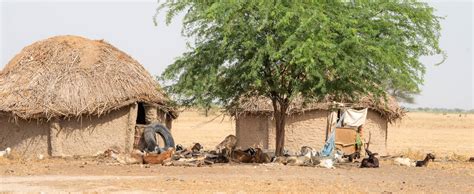 Top apartments in N'Djamena on cozycozy.com