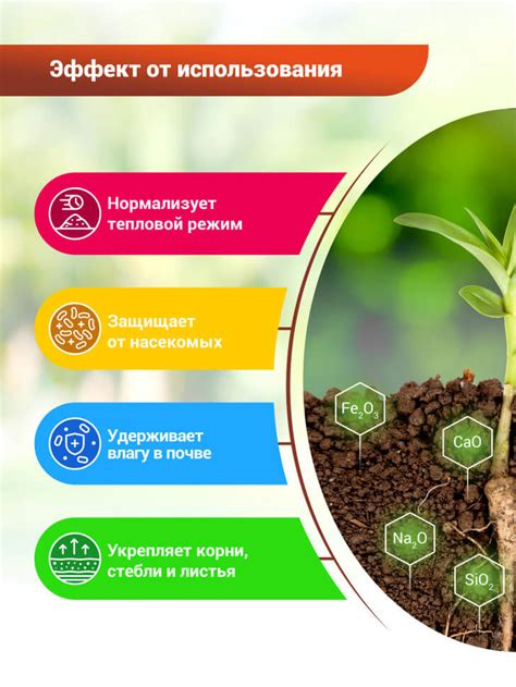 БИО-комплекс Диатомит Садовый 3л купить в Минске недорого