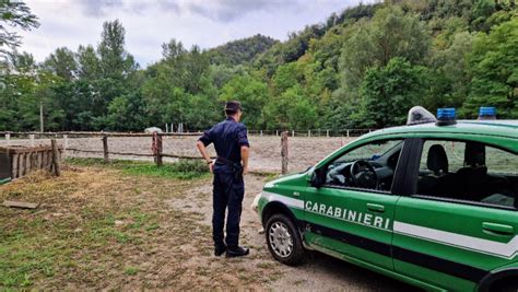 I Reparti Carabinieri Forestali Cambiano Denominazione Lokkio