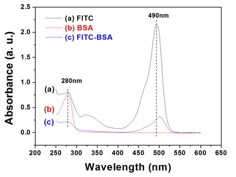 Figure S5 UV Vis Absorbance Spectra Of A FITC Solution B BSA