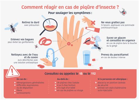 Comment R Agir En Cas De Piq Re Dinsecte Union Mutame