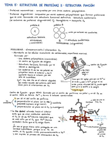 APUNTES EXAMEN ENERO 2023 MUY COMPLETOS Pdf