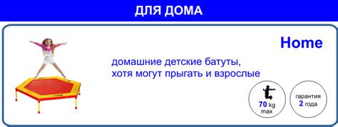 Батуты Домашние, Батуты для Детей, Батуты для Дачи, Батуты Уличные ...