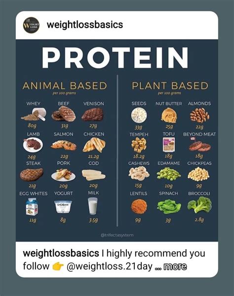 Printable List Of Protein Foods Printable And Enjoyable Learning