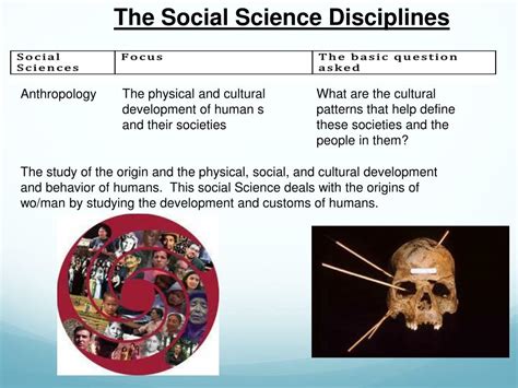 PPT The Social Science Disciplines PowerPoint Presentation Free