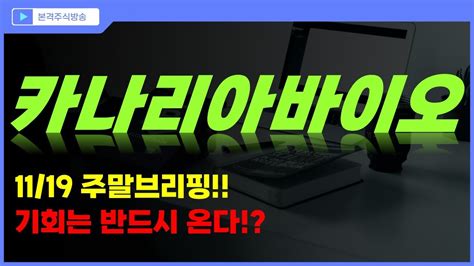 카나리아바이오 주가전망 1119 주말브리핑 기회는 반드시 온다 Youtube