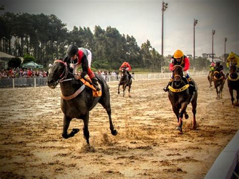 Indicações para as corridas de hoje no Jockey Club do Paraná